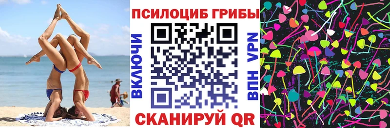 цена   Октябрьский  ОМГ ОМГ   Галлюциногенные грибы GOLDEN TEACHER 